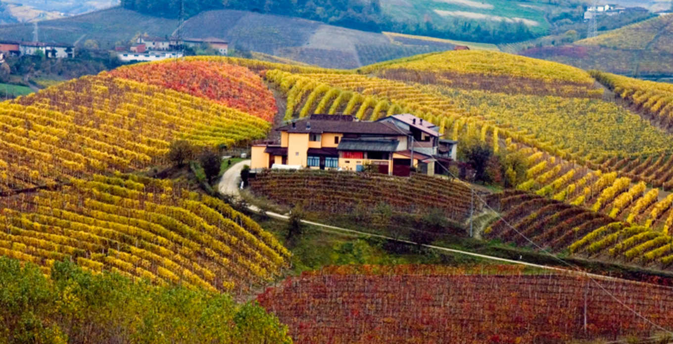 Dolcetto d'Alba 'Crosa' Pasquale Pelissero 2018