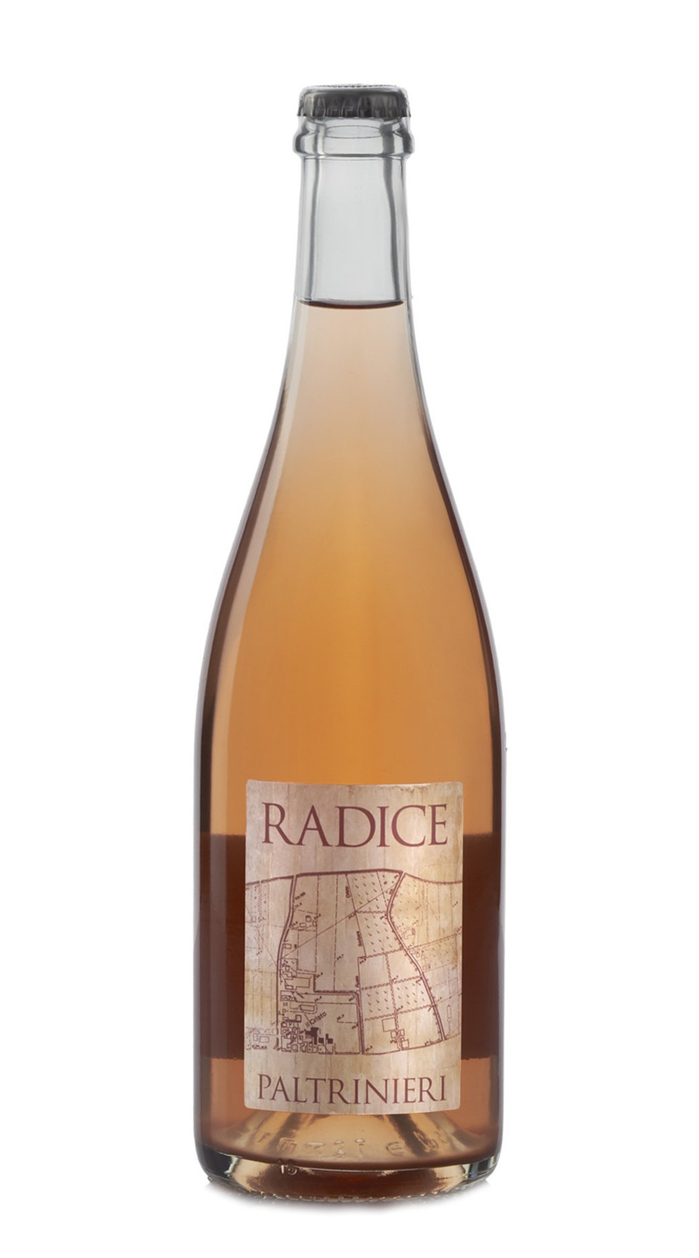 Lambrusco Di Sorbara Radice Paltrinieri 2020 Callmewine